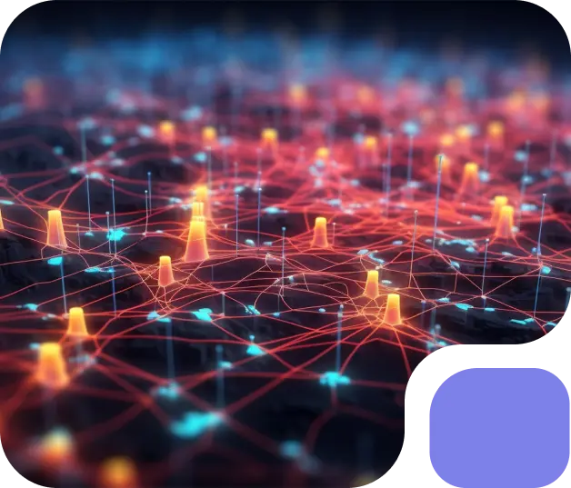 Imagen de Transporte en Portal Dom