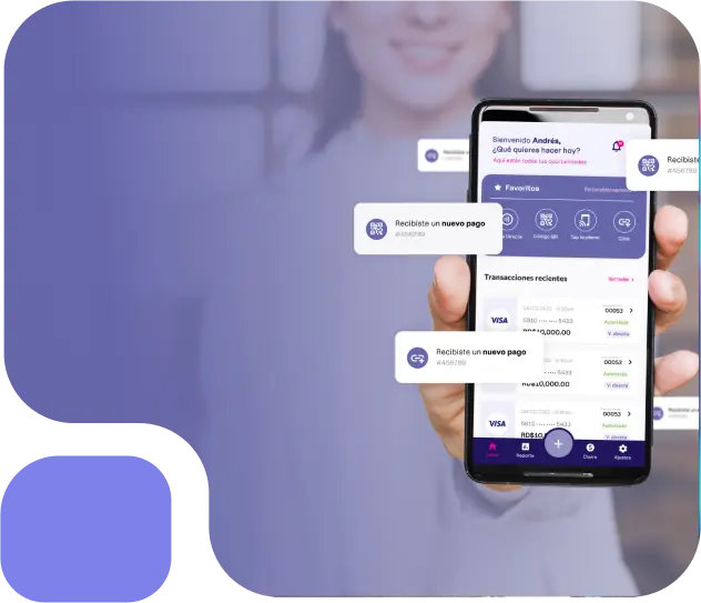 Imagen de mPOS en Portal Dom (2)