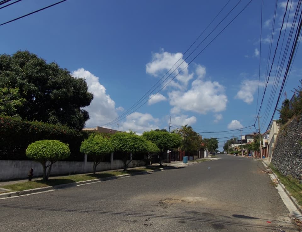 Imagen de Entendiendo las dificultades de los negocios en Santiago de los Caballeros por Portaldom
