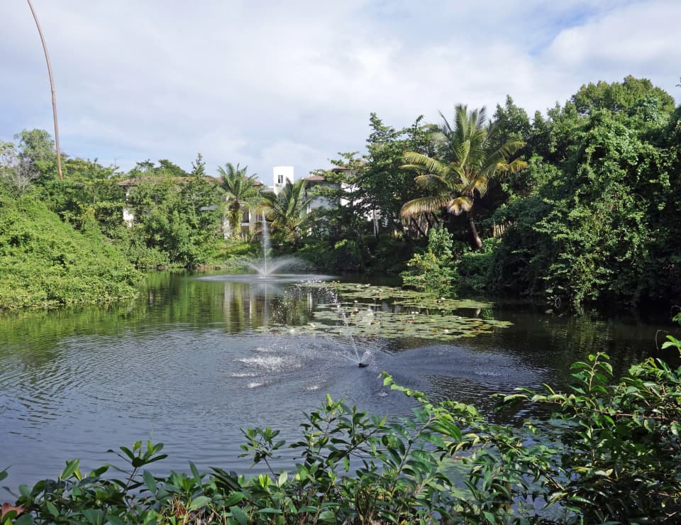 Imagen de Optimiza tus cobros con Portaldom en Puerto Plata por Portaldom